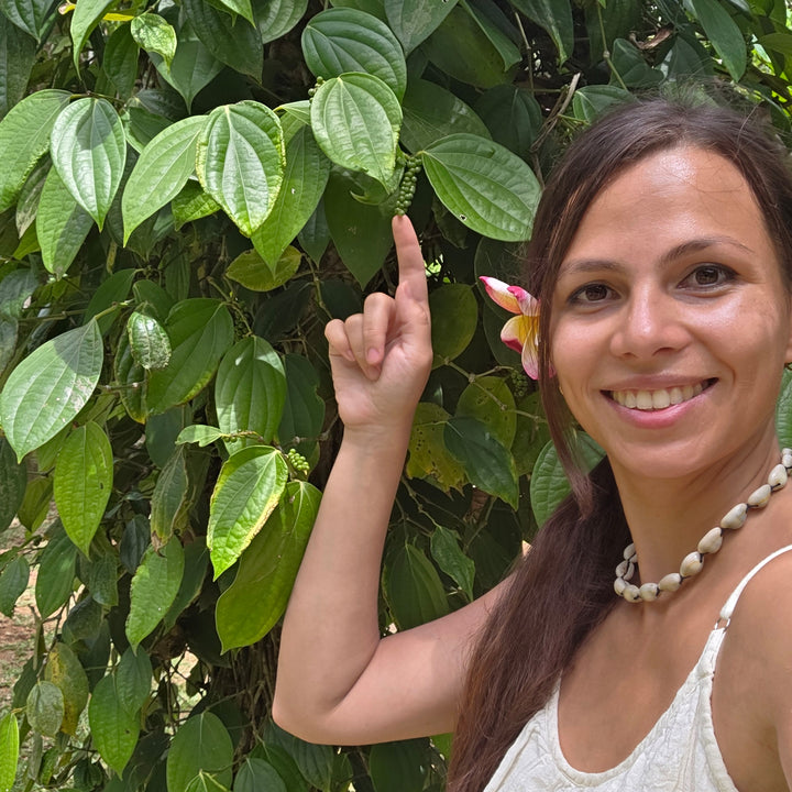 Weißer Pfeffer Madagaskar