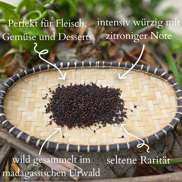 Urwaldpfeffer Voatsiperifery