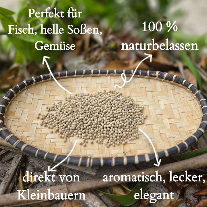 Weißer Pfeffer Madagaskar