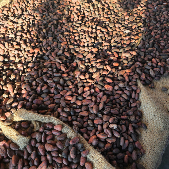 Edelkakaobohnen Madagaskar